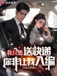 我只是送个快递